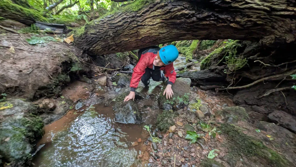 Boy ducking under fallen tree in wetsuit and helmet.